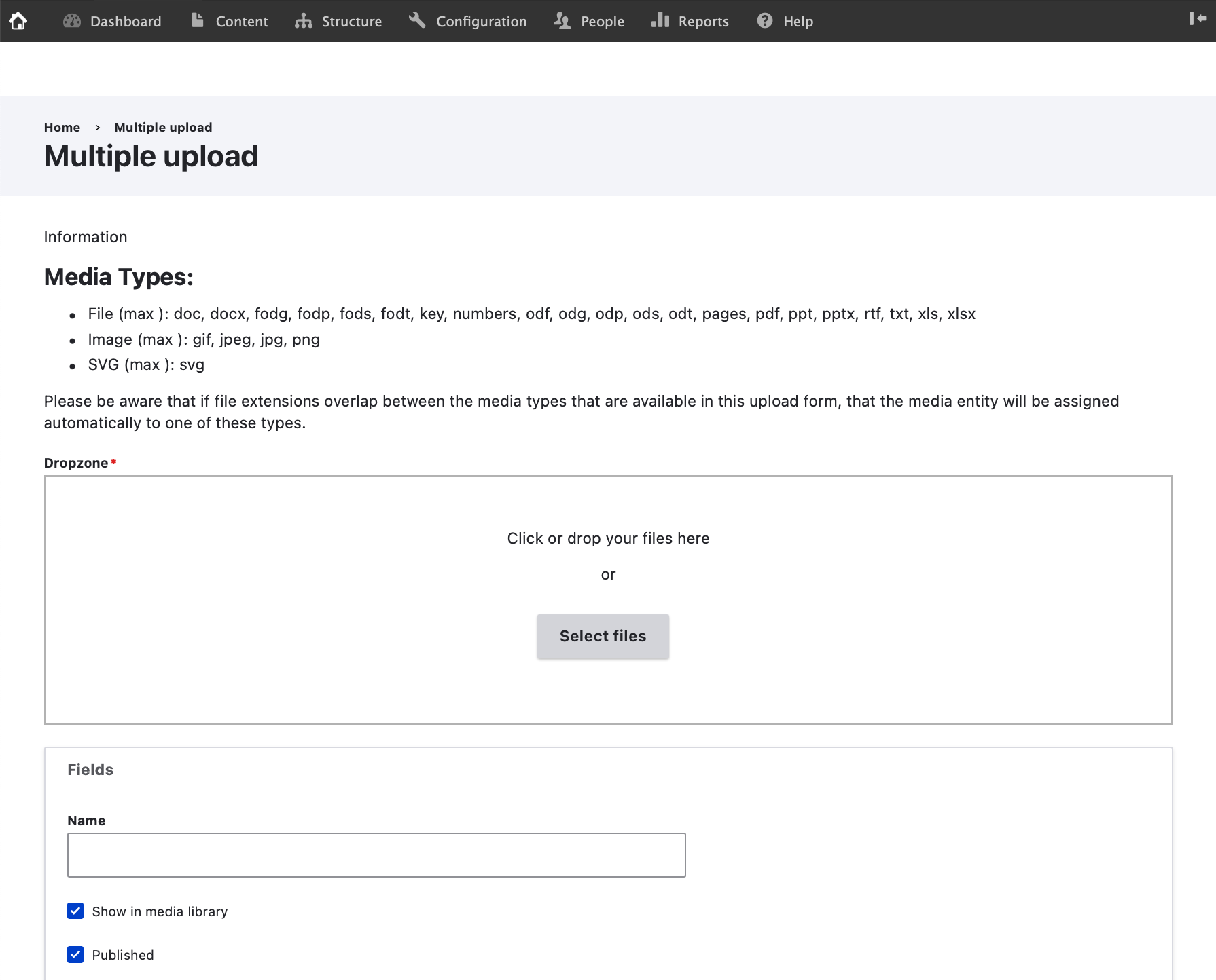 screenshot showing the bulk file upload screen