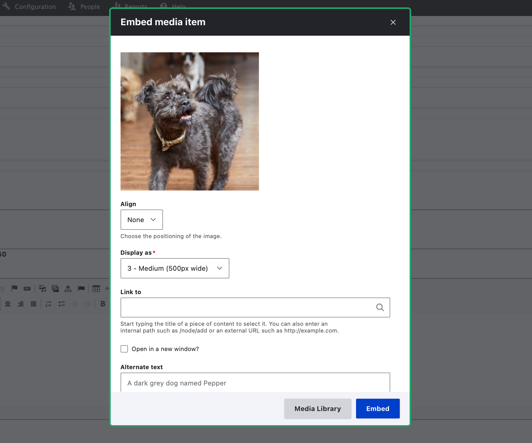 Screenshot showing the embed media item settings