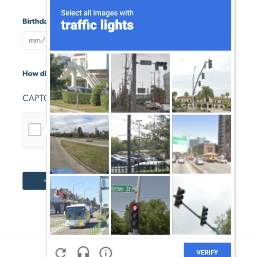 example of the image selector captcha