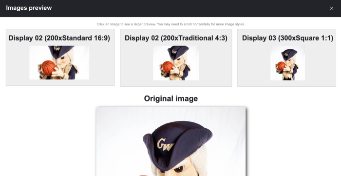 screenshot of the image preview page